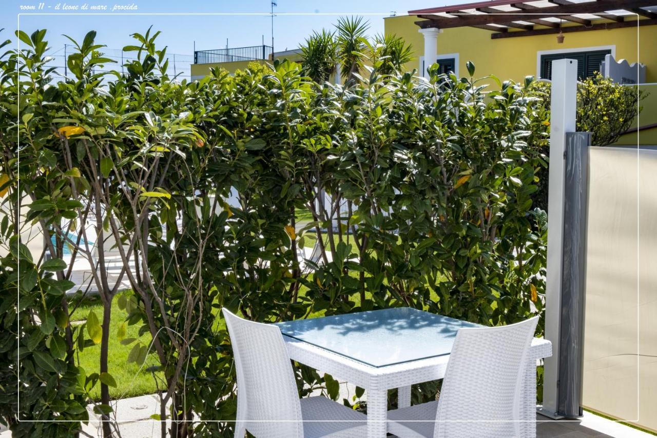 Il Leone Di Mare 3*