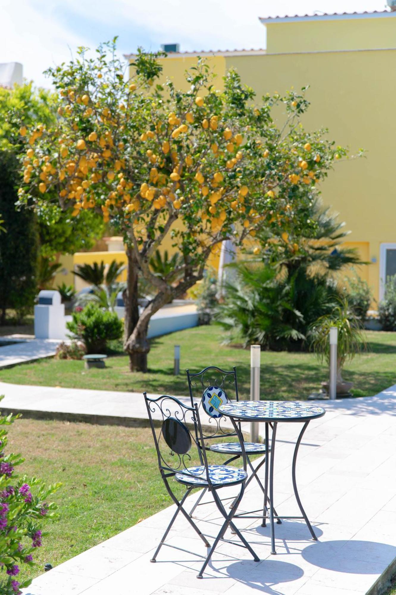 Il Leone Di Mare 3* Procida
